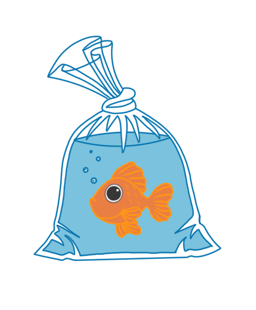 Fish In Bag- Weather Proof Sticker – Simply Enough design