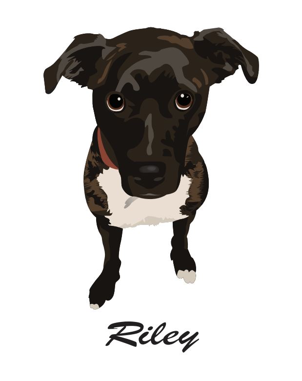 Digital Pet Portrait