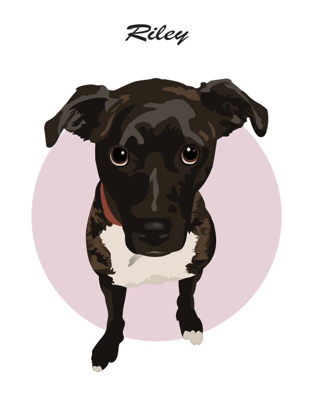 Digital Pet Portrait