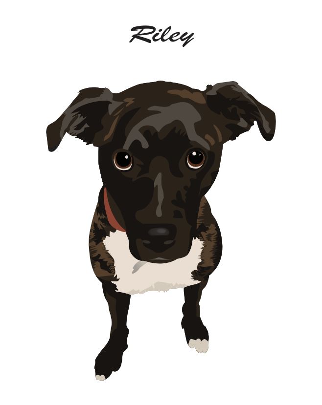 Digital Pet Portrait